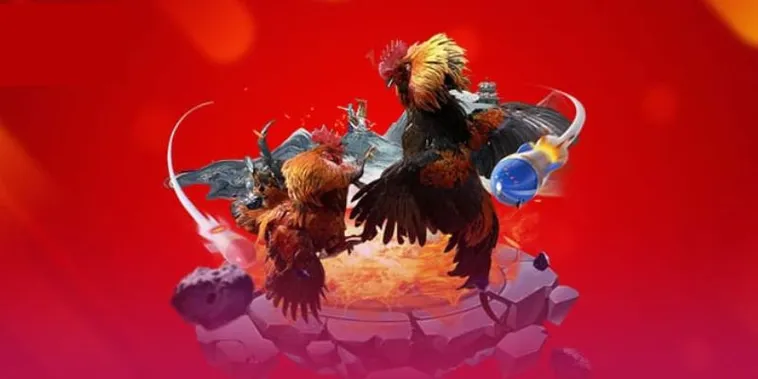 Đá Gà EV88 Trực Tiếp Đỉnh Cao Săn Thưởng Cực Khủng Ngay Hôm Nay